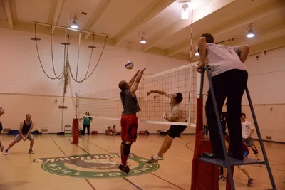 DSC_1826 (Large).JPG